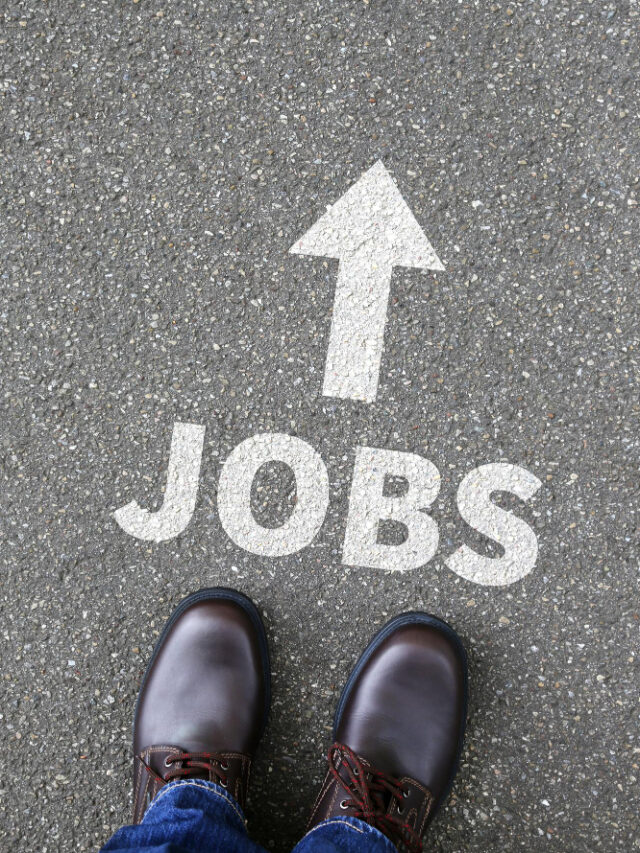 Free Job Alerts 2025: Never Miss Opportunities